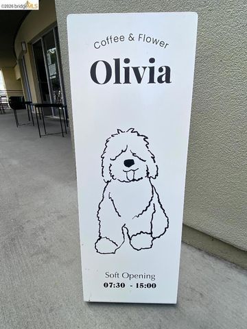 371 30th Street 404, Oakland, CA 94609