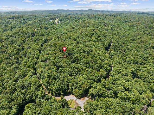 52 Merit Court, Ellijay, GA 30540