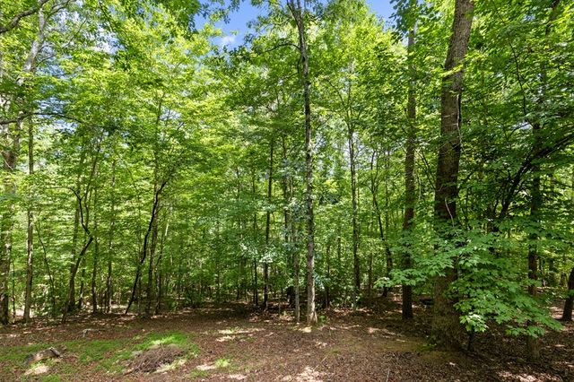 52 Merit Court, Ellijay, GA 30540