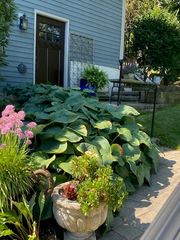 196 Dale St. 1, Waltham, MA 02451
