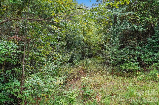 111 Camelot Street 43, Rutherford College, NC 28612