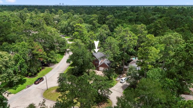 118 Snowdance Court, The Woodlands, TX 77382