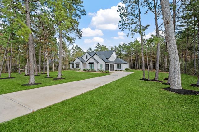 8513 Monarch Ridge Trail, Montgomery, TX 77316