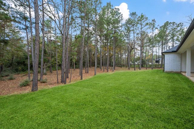 8513 Monarch Ridge Trail, Montgomery, TX 77316