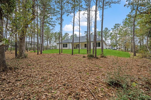 8513 Monarch Ridge Trail, Montgomery, TX 77316