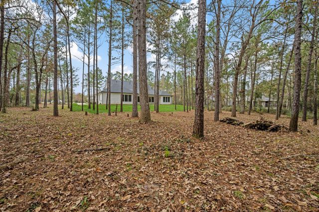 8513 Monarch Ridge Trail, Montgomery, TX 77316