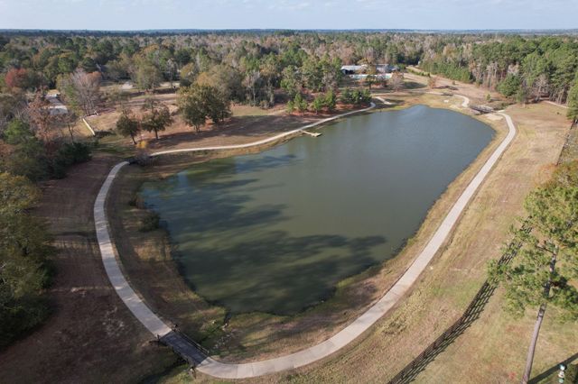 8513 Monarch Ridge Trail, Montgomery, TX 77316