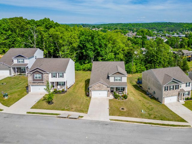 4122 Bentwood Cove Drive, Apison, TN 37302