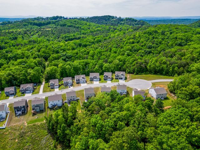 4122 Bentwood Cove Drive, Apison, TN 37302