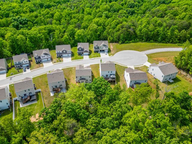 4122 Bentwood Cove Drive, Apison, TN 37302