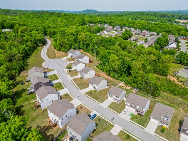 4122 Bentwood Cove Drive, Apison, TN 37302