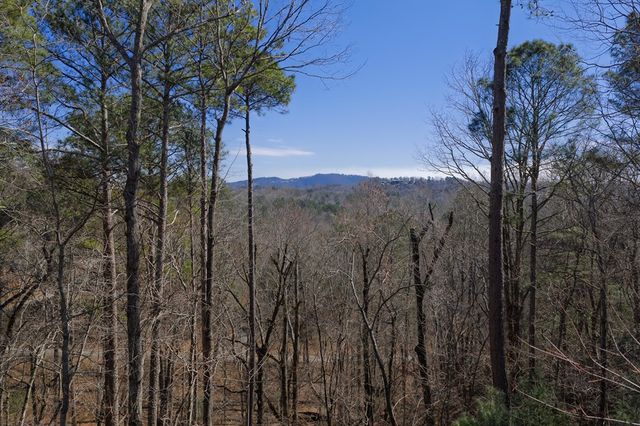 3171 Newport Drive, Ellijay, GA 30540
