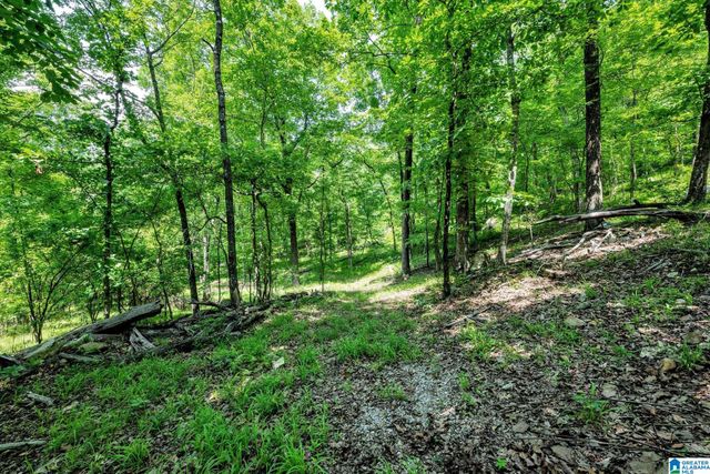140 HAMPTON LAKE DRIVE, Pelham, AL 35124