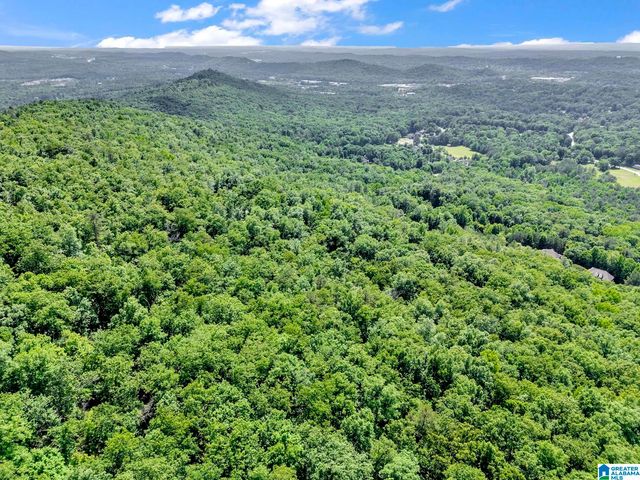 140 HAMPTON LAKE DRIVE, Pelham, AL 35124