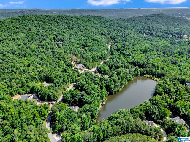 140 HAMPTON LAKE DRIVE, Pelham, AL 35124