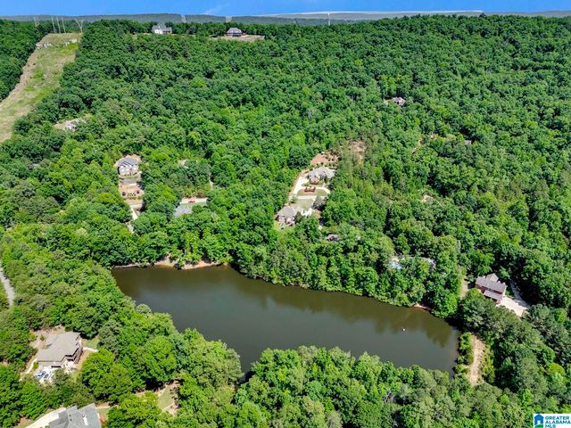 140 HAMPTON LAKE DRIVE, Pelham, AL 35124