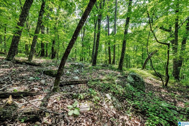 140 HAMPTON LAKE DRIVE, Pelham, AL 35124
