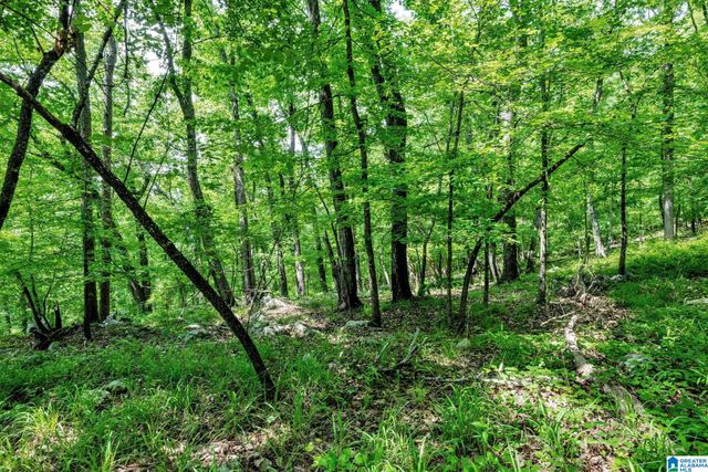 140 HAMPTON LAKE DRIVE, Pelham, AL 35124