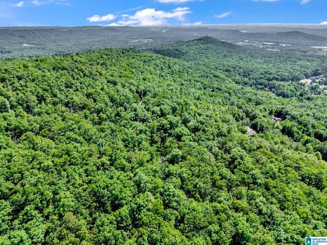 140 HAMPTON LAKE DRIVE, Pelham, AL 35124