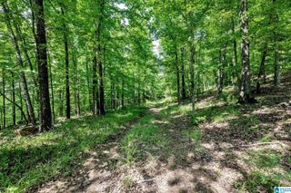 140 HAMPTON LAKE DRIVE, Pelham, AL 35124