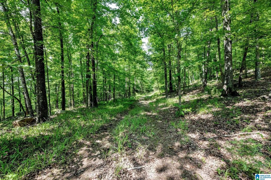 140 HAMPTON LAKE DRIVE, Pelham, AL 35124