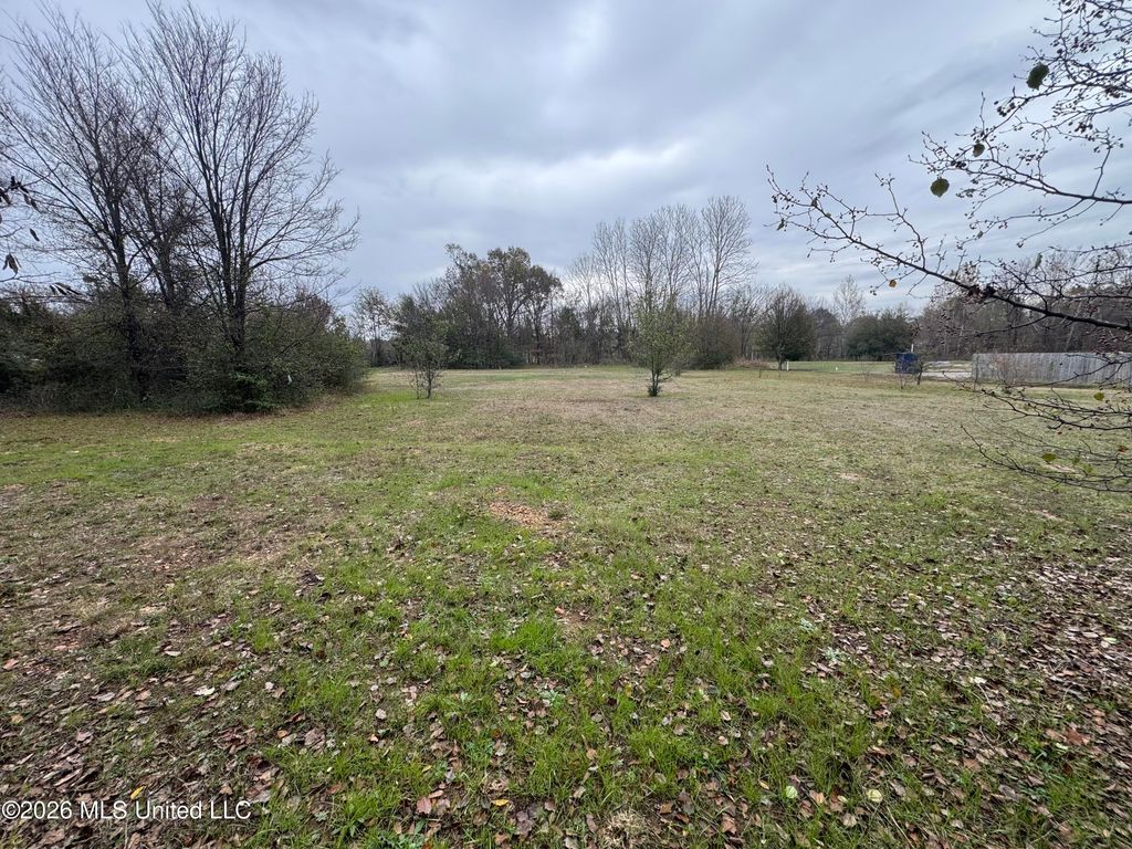 Lot 3 Airways Boulevard, Southaven, MS 38671 — photo 3