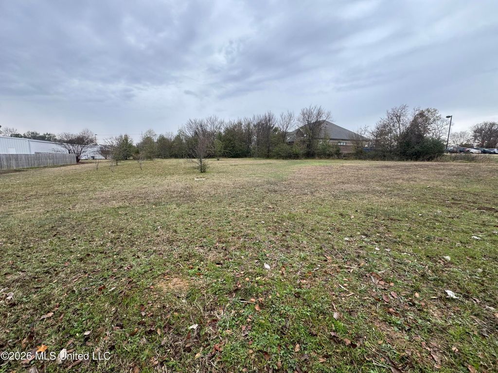 Lot 3 Airways Boulevard, Southaven, MS 38671 — photo 4