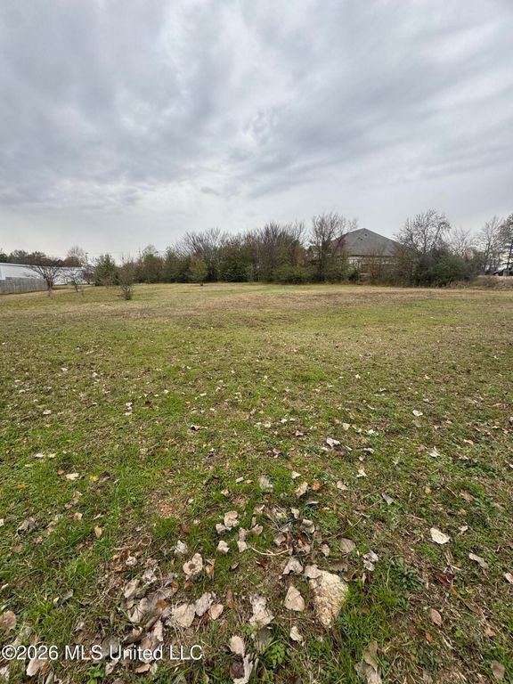 Lot 3 Airways Boulevard, Southaven, MS 38671 — photo 5