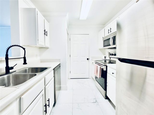 18111 BRIDLE BIT LANE, Tampa, FL 33647