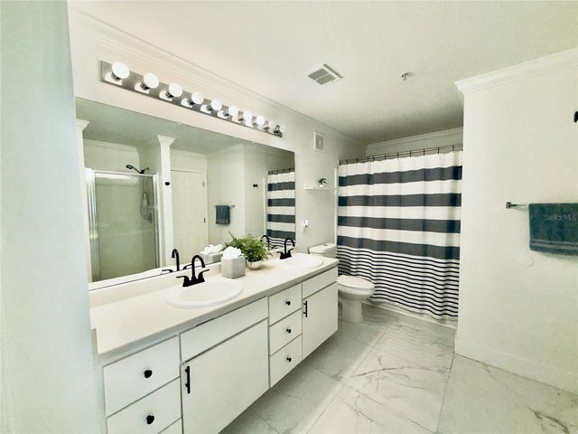 18111 BRIDLE BIT LANE, Tampa, FL 33647