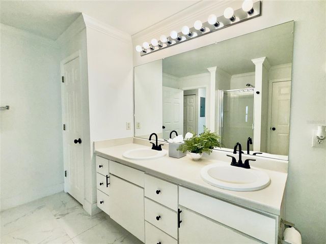 18111 BRIDLE BIT LANE, Tampa, FL 33647