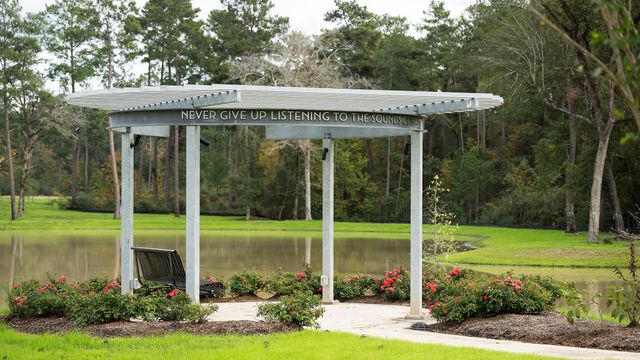 438 Audubons Shearwater Way, Magnolia, TX 77354