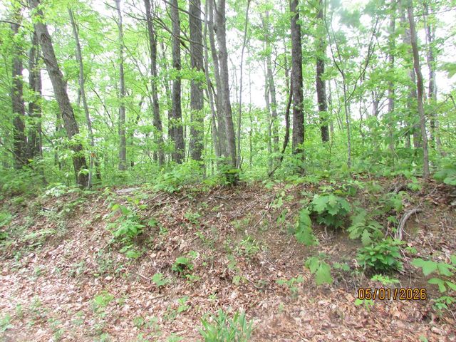 0 Taylor Knob Drive, Hayesville, NC 28904
