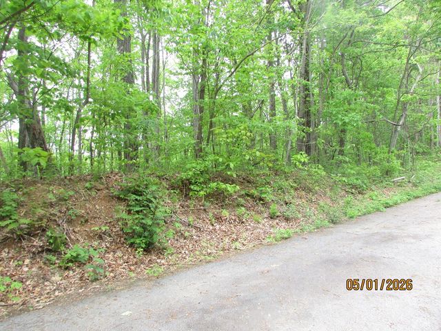 0 Taylor Knob Drive, Hayesville, NC 28904