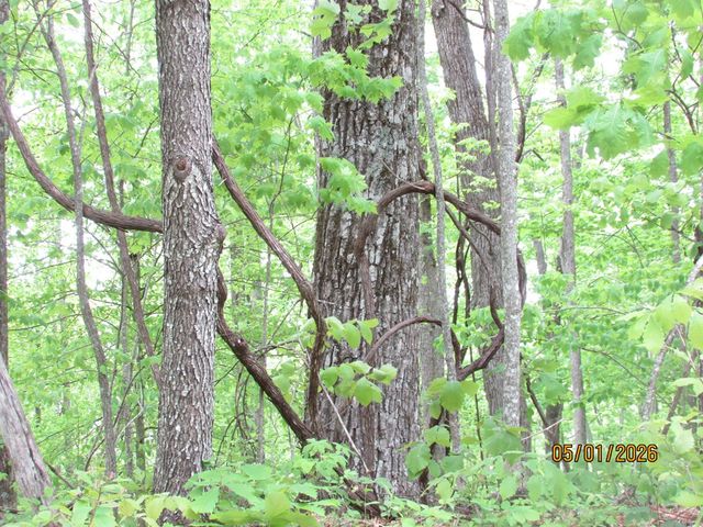 0 Taylor Knob Drive, Hayesville, NC 28904