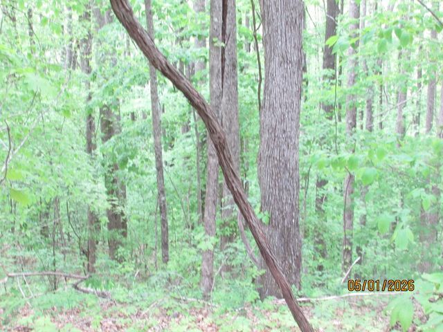 0 Taylor Knob Drive, Hayesville, NC 28904