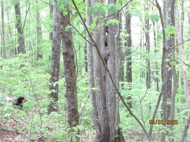 0 Taylor Knob Drive, Hayesville, NC 28904