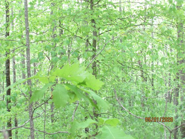 0 Taylor Knob Drive, Hayesville, NC 28904
