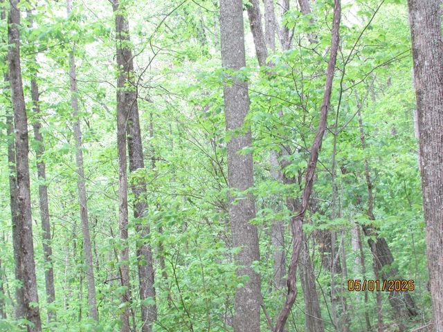 0 Taylor Knob Drive, Hayesville, NC 28904