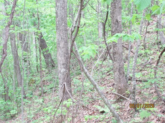 0 Taylor Knob Drive, Hayesville, NC 28904