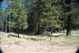 252 Southpark Road, Florissant, CO 80816