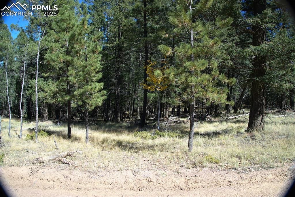 252 Southpark Road, Florissant, CO 80816