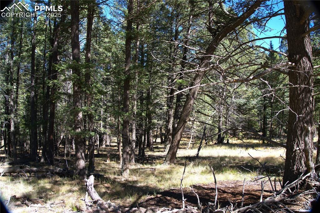 252 Southpark Road, Florissant, CO 80816 — photo 2