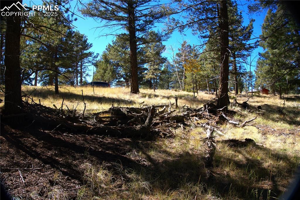 252 Southpark Road, Florissant, CO 80816 — photo 3