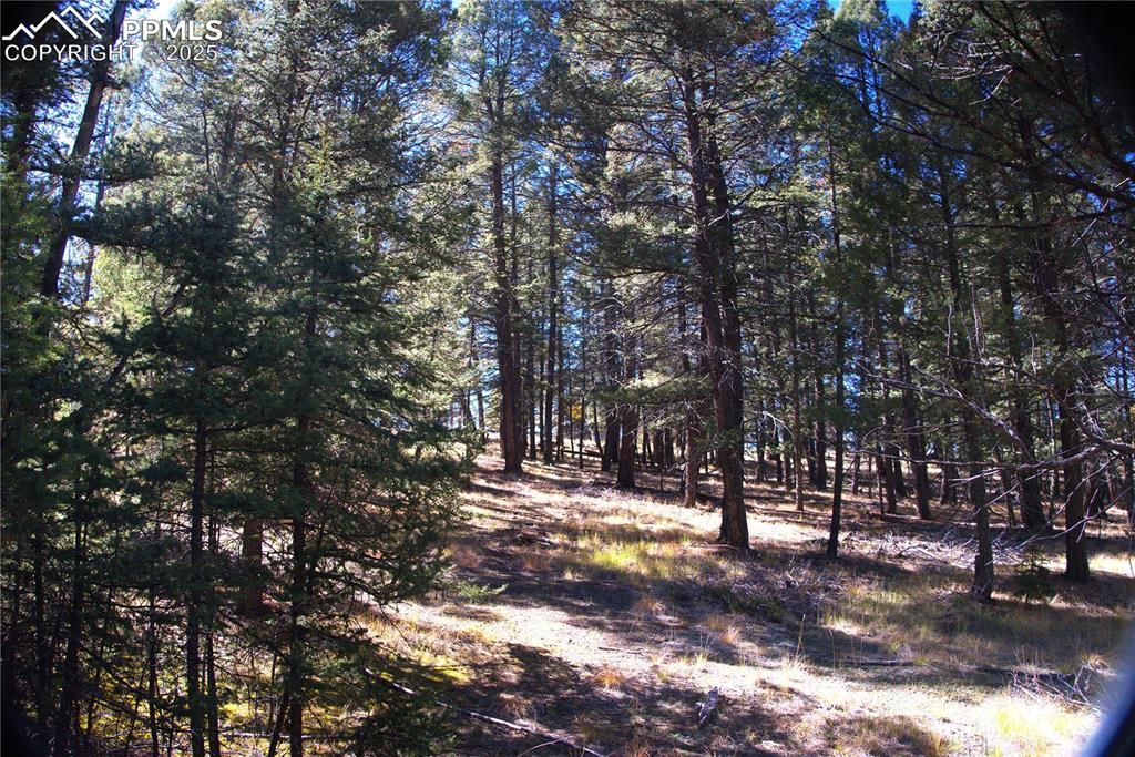 252 Southpark Road, Florissant, CO 80816 — photo 5