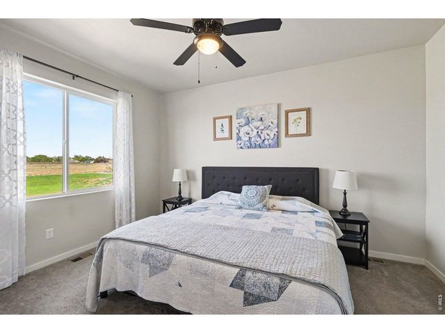 7467 Horsechestnut St, Wellington, CO 80549