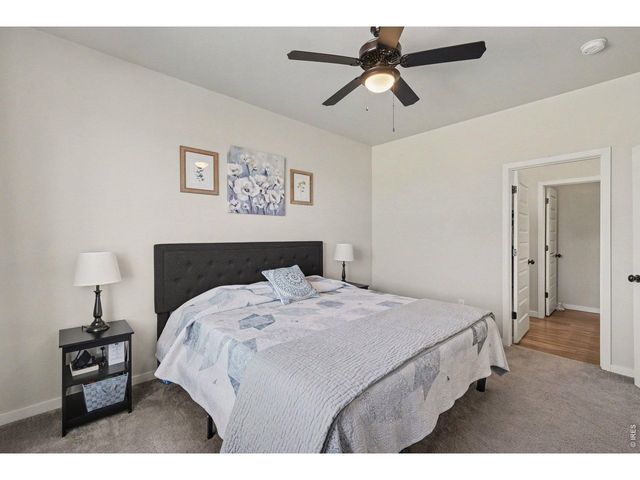 7467 Horsechestnut St, Wellington, CO 80549