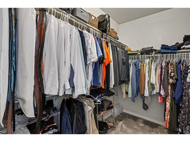 7467 Horsechestnut St, Wellington, CO 80549