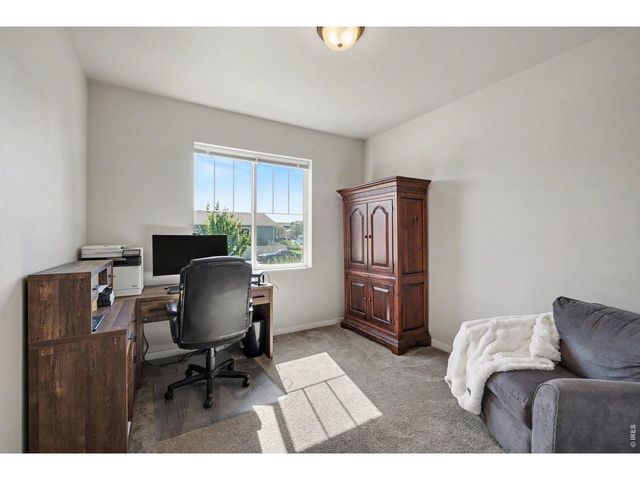 7467 Horsechestnut St, Wellington, CO 80549