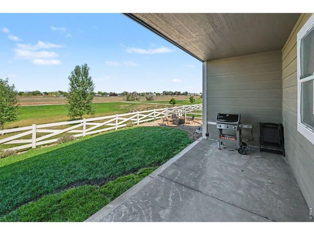 7467 Horsechestnut St, Wellington, CO 80549